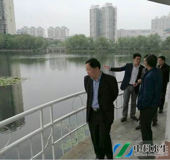 腾龙国际平台(中国区) - 官方网站