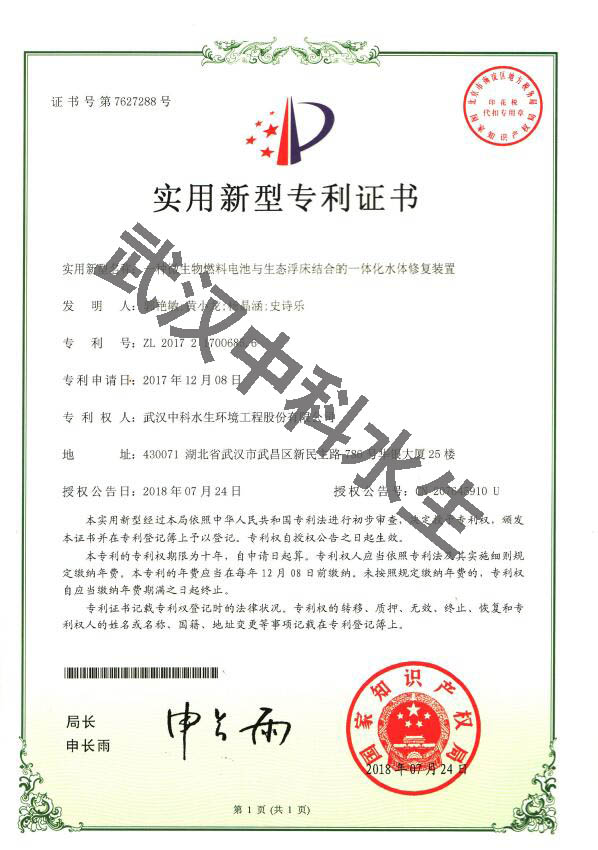 腾龙国际平台(中国区) - 官方网站