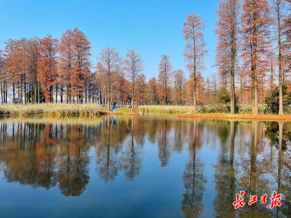 腾龙国际平台(中国区) - 官方网站