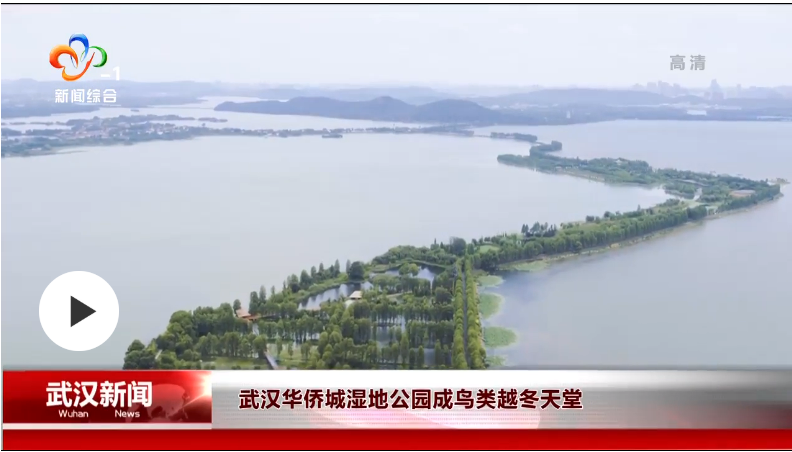 腾龙国际平台(中国区) - 官方网站